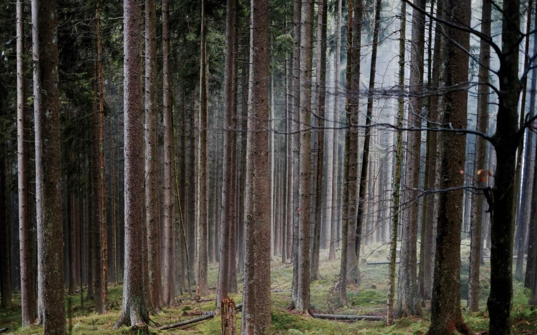 CBFC7A2F-4B4B-4848-AE73-CA5348308415